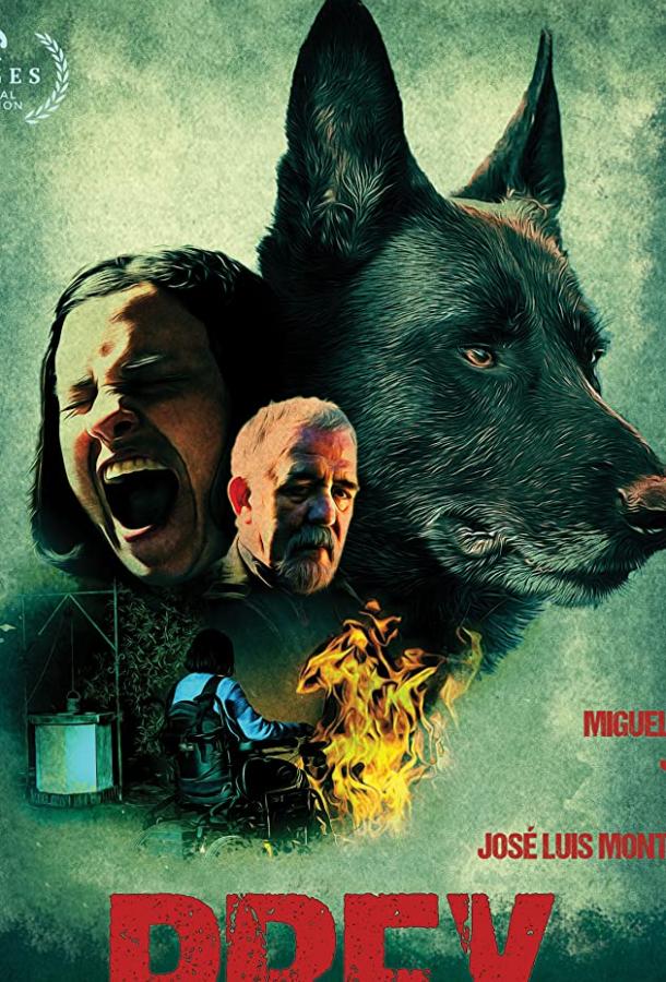 Постер к Узы (2019)