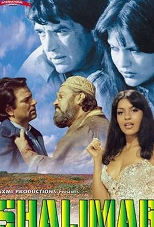 Постер к Бриллиант (1978)