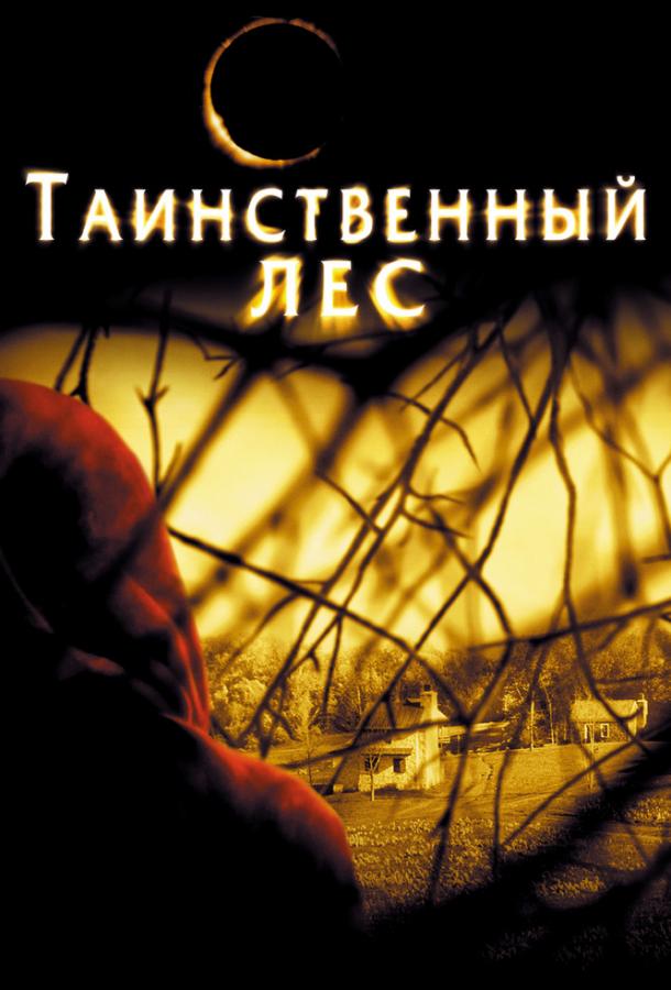 Постер к Таинственный лес (2004)