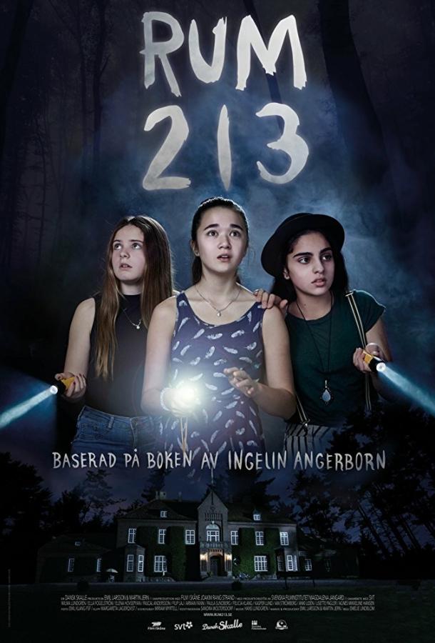 Постер к Комната 213 (2017)