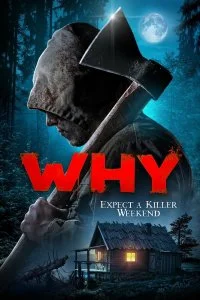 Постер к За что? (2019)
